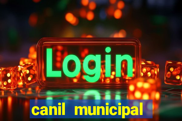 canil municipal porto alegre